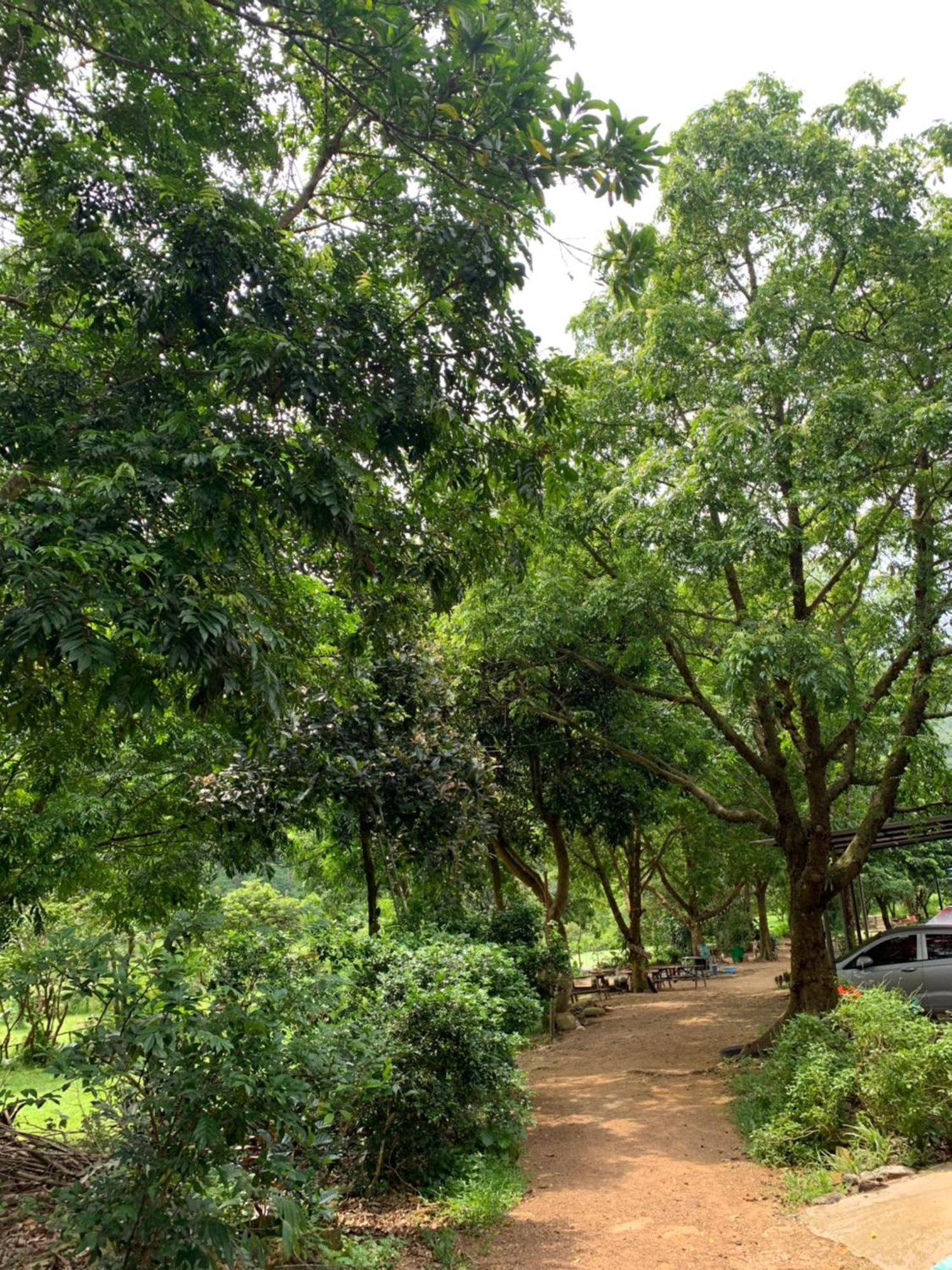 Chu Thien Homestay And Camping Hà Nội Ngoại thất bức ảnh